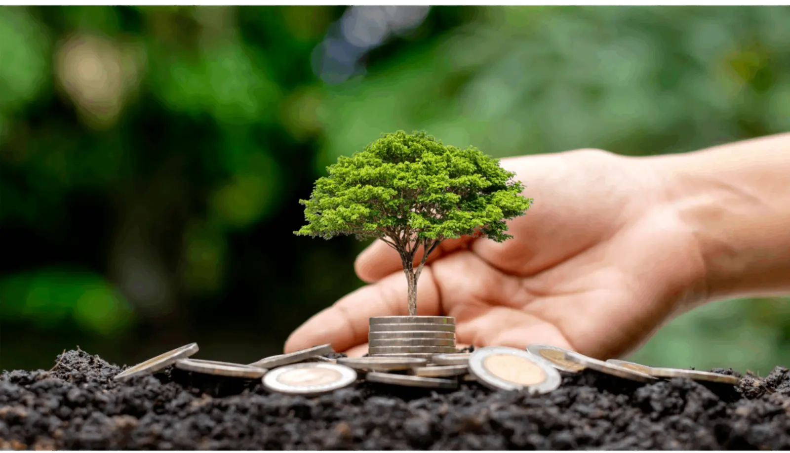 South African firm leverages executive coaching leadership development